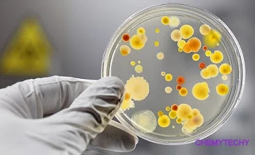 ¿Por qué es importante conocer la historia de la microbiología para su disciplina como enfermero?