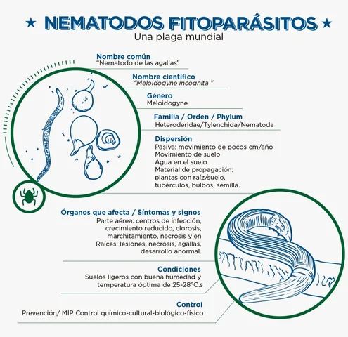 Taxonomia de las Enfermedades