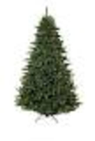 They chop down their christmas tree