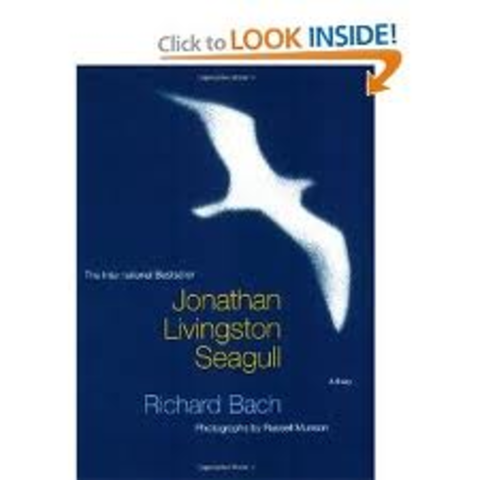 Jonathan Livingston Seagull
