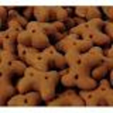 Puppy biscuit back home