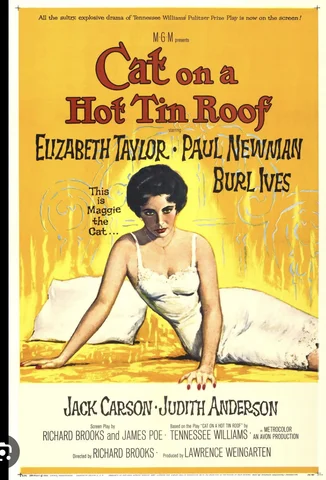 Cat on a Hot Tin Roof
