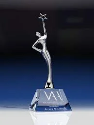 She won the Visionary Award