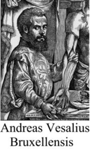 Andreas Vesalious