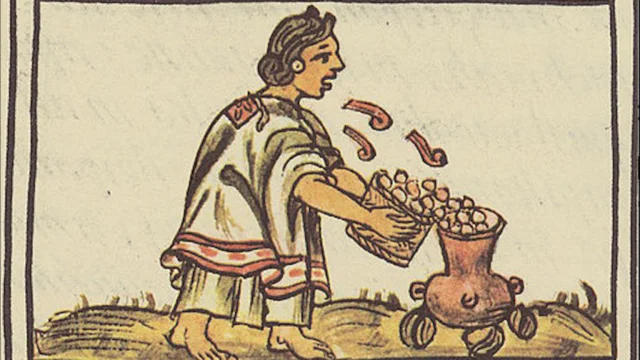 Se fija el valor del cacao