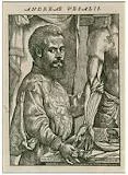 Vesalio siglo XVI - XVII