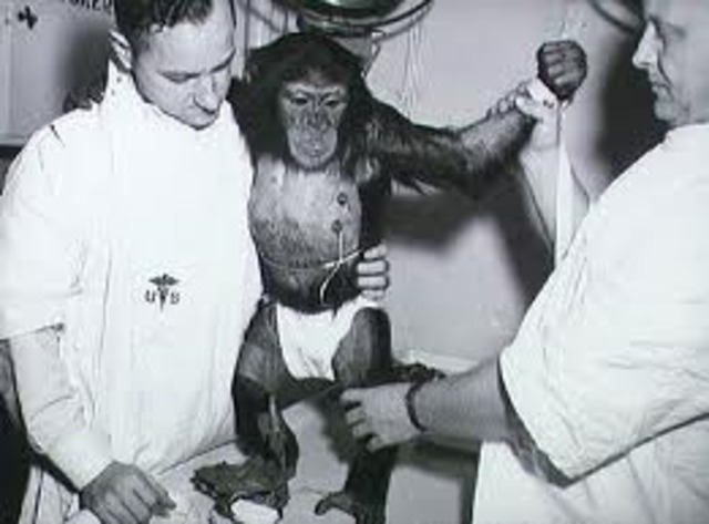 First Animal In Space