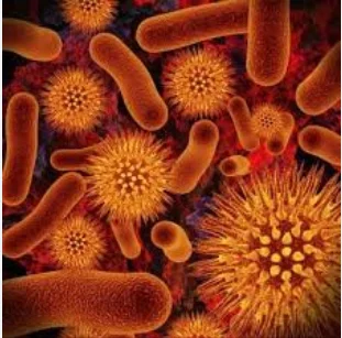La teoría microbiana sin Pasteur y Koch