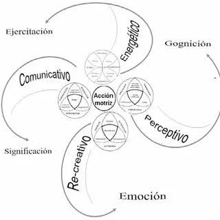 Enfoque Dinámico e Integrado de la Motricidad EDIM
