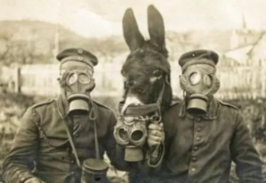 Alemania invade Polonia. Numerosas bajas en la segunda batalla de Ypres, en la que Alemania utiliza gas por primera vez.