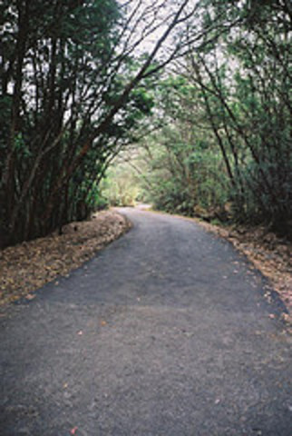 Comienza bloque de cierre, optativo