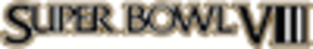 Superbowl VIII