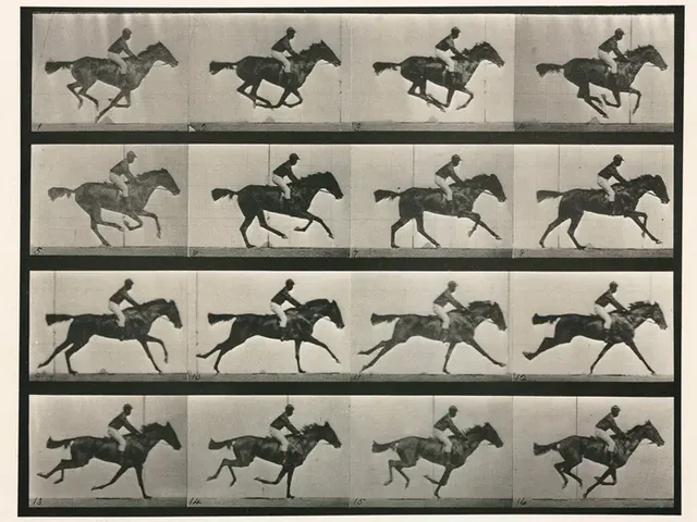 The Galloping Horse