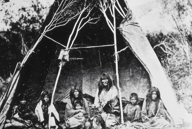 Shoshone Tribe
