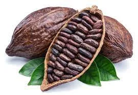 Valor del cacao