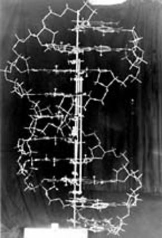 Advances in DNA Structure