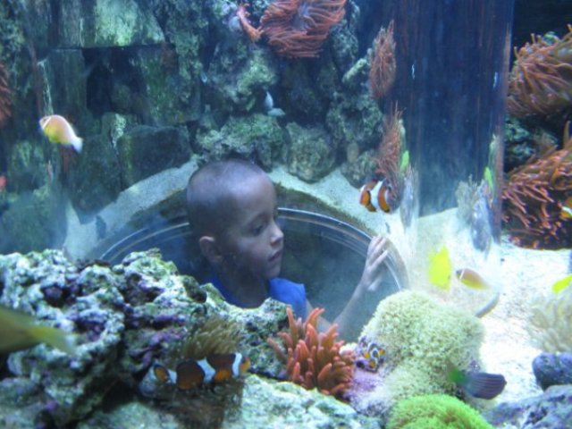 Nicholas Black's 3rd Birthday