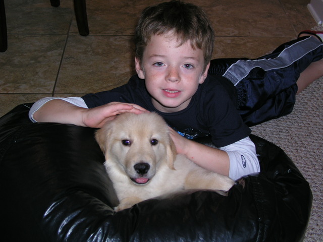 We picked up our first puppy, Sophie