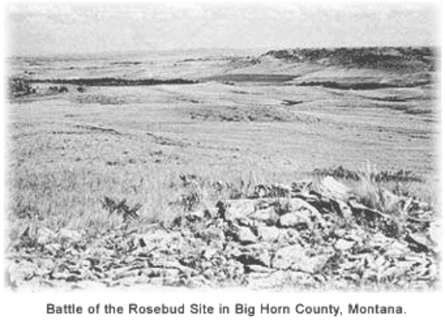 Battle of the Rosebud