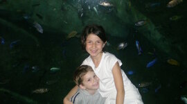 Timeline: A partial history of Ryan J Rech