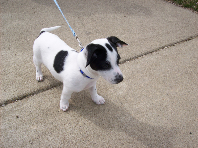 Banditon Spring Break