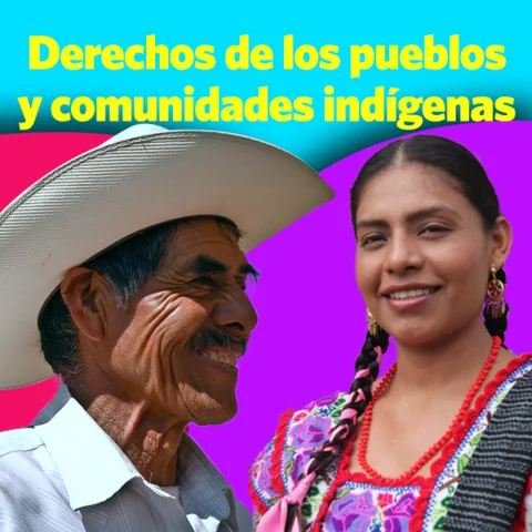 RECONOCIMIENTO DE LA DIVERSIDAD Y LOS DERECHOS DE LOS PUEBLOS INDÍGENAS