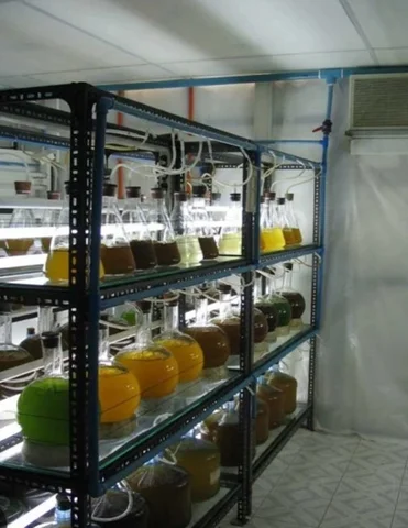 Fermentadores automatizados