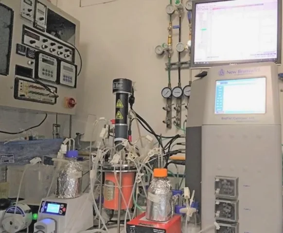 Biorreactores de monitoreo y computarizados