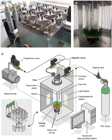 Sistema de reactor anaeróbico de membrana