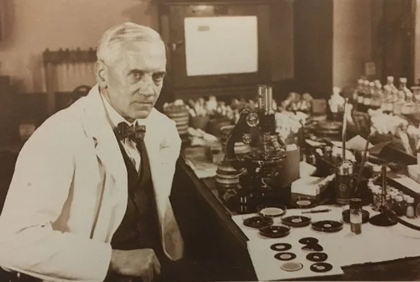 Purificación de penicilina