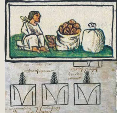 Fijan Precio del Cacao