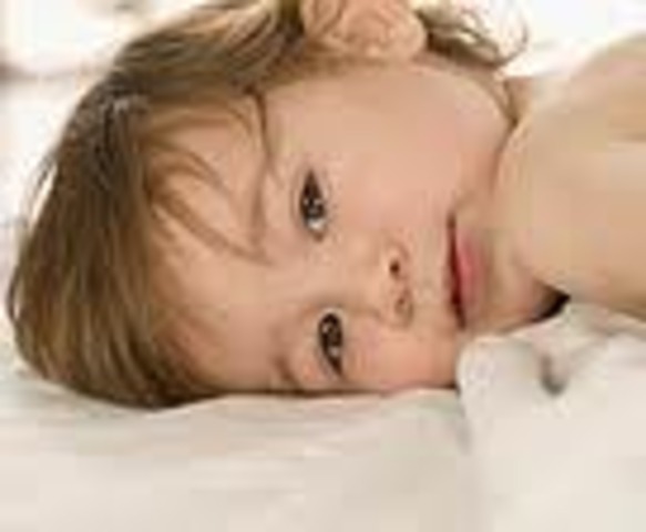 Doodle is Two Years Old