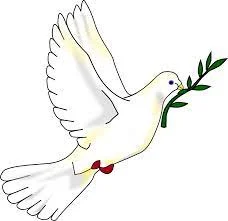 Paz absurda