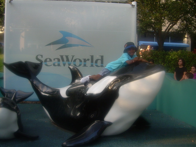 My first trip to Sea World! I am riding Shamo