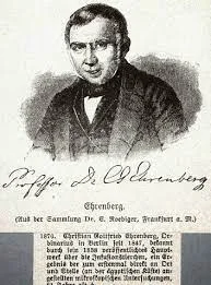 1828: Christian Gottfried Ehrenberg descubre las bacterias.