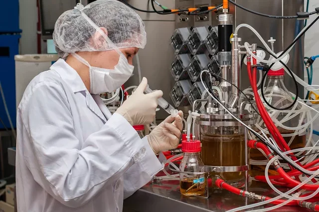 Biorreactor para vacuna contra rabia