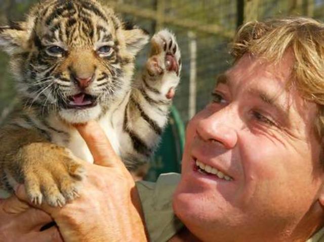 steve irwin dies