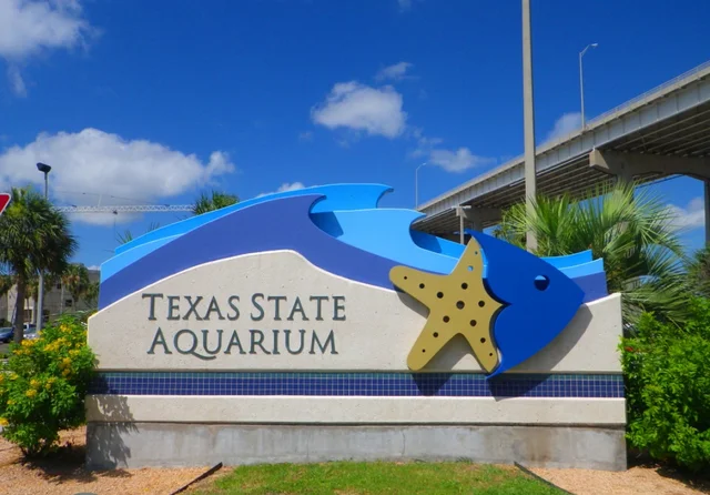 The opening of the Texas State Aquarium in Corpus Christi, Texas.
