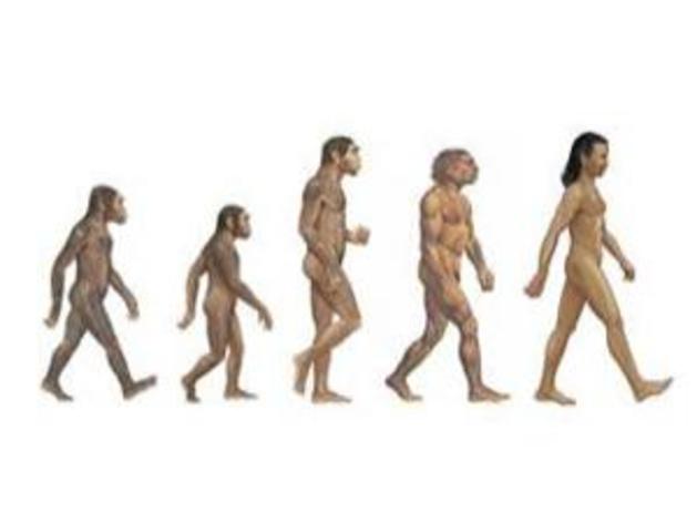 Homo Sapiens Evolve - 23:37:03:869.184