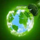 Ecologia 1
