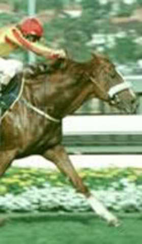 It's raining at melbourne