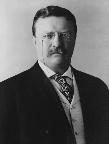 Theodore Roosevet becomes president