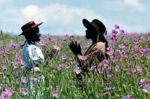 The Oprah Winfrey Show