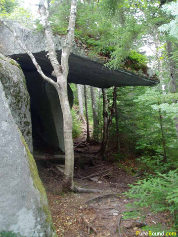 Brian builds the lean-to