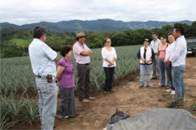 NUEVAS CAPACITACIONES