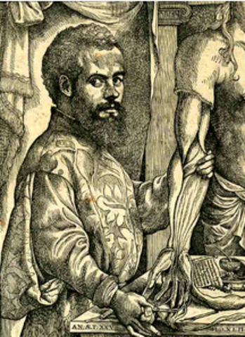 Andreas Vesalius