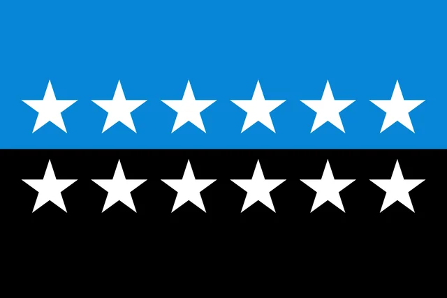 LA COMUNIDAD EUROPEA DEL CARBÓN Y DEL ACERO (CECA)