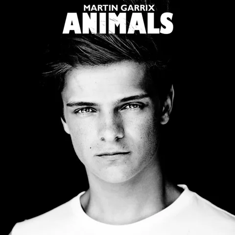Animals - Martin Garrix