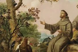 Francisco se trasladó a porciuncula