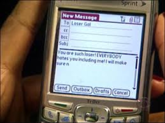 The term cyberbullying was created